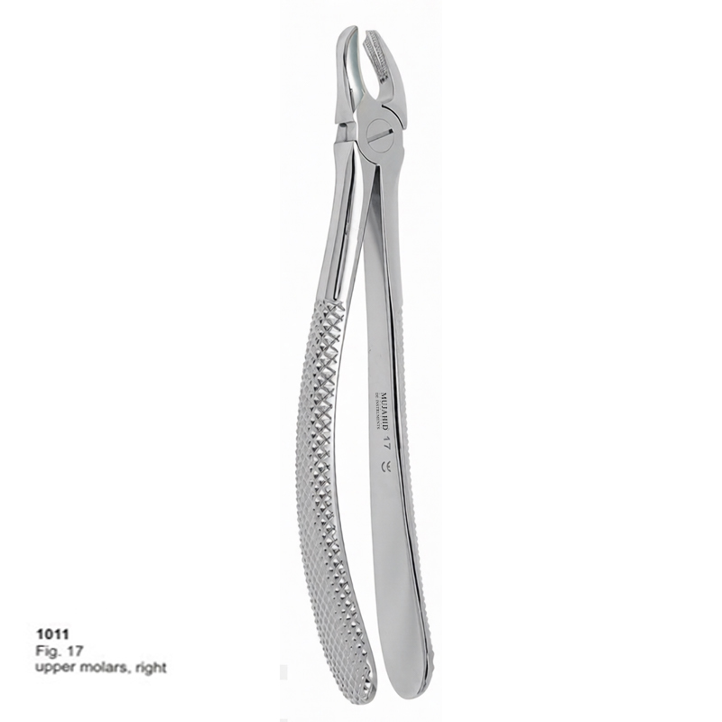 Fig 17