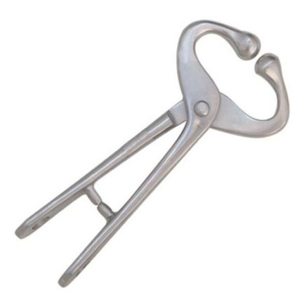 BULL HOLDER1